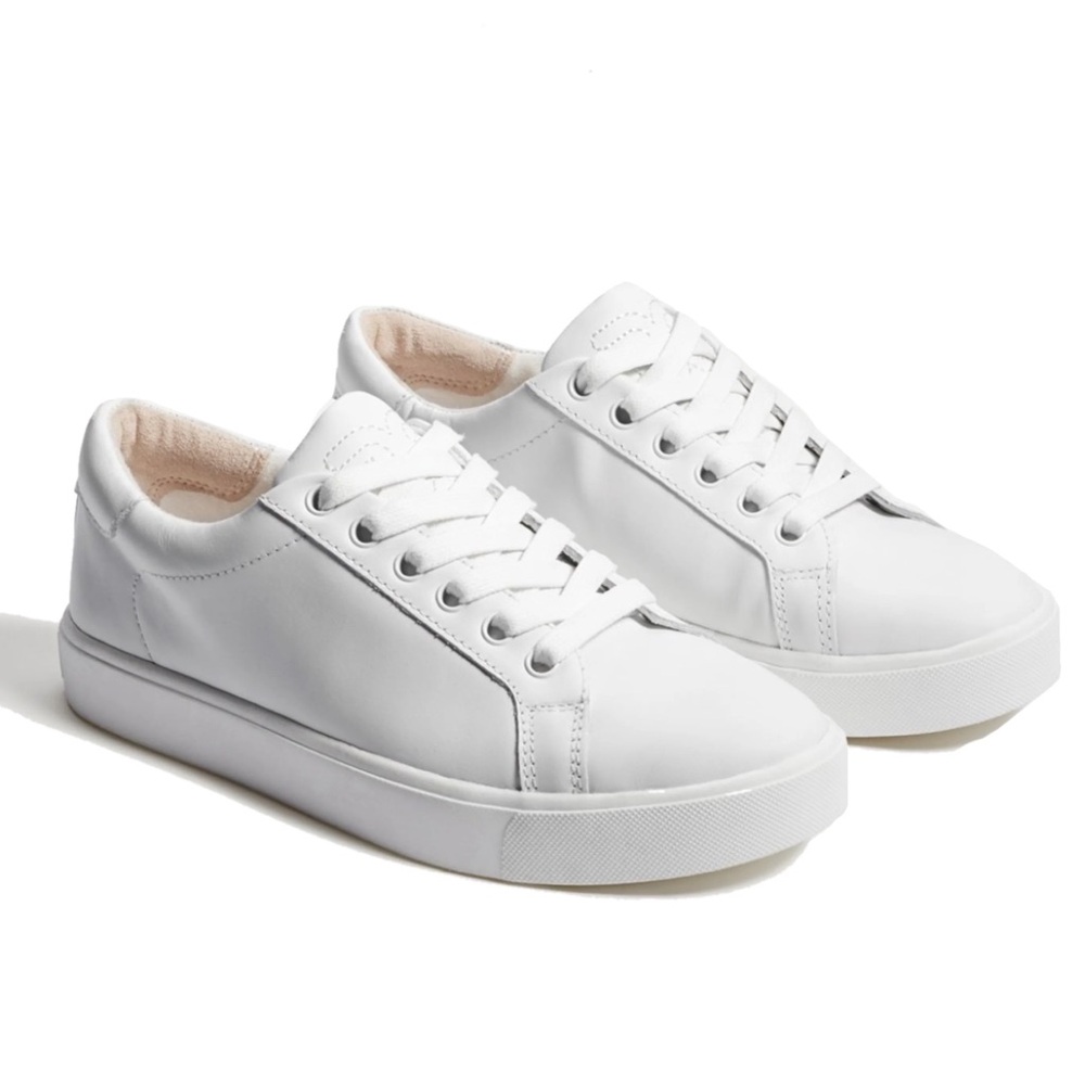 Sam Edelman Ethyl Lace Up Sneaker